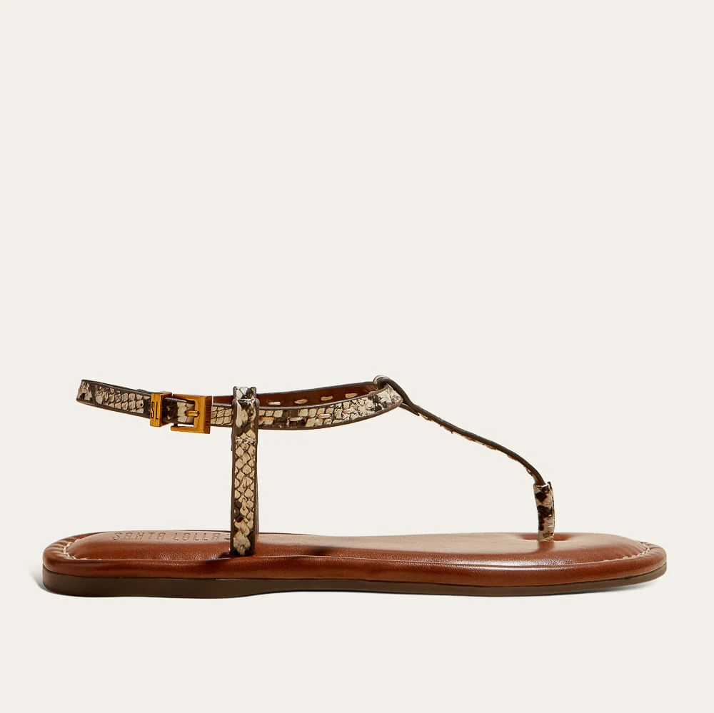 Rasteira Thong Animal Print Cobra - vista 1 de 2