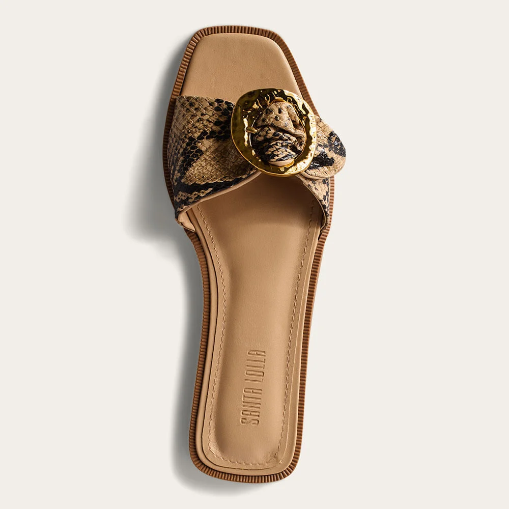 Rasteira Cobra Animal Print Fivela - vista 2 de 3